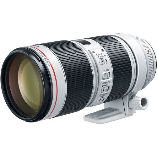 Canon EF 70 200mm IS III USM Lens systec international