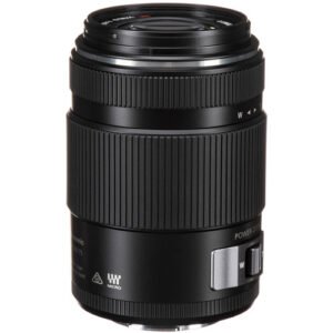 Panasonic Lumix 45-175mm